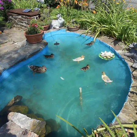 Gierlinger Aflenz Kurort