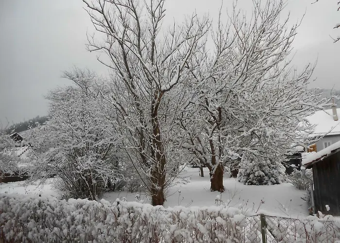 Gierlinger بيت ضيافة 3*